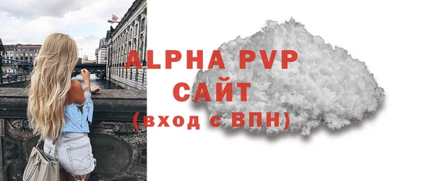 индика Алексин