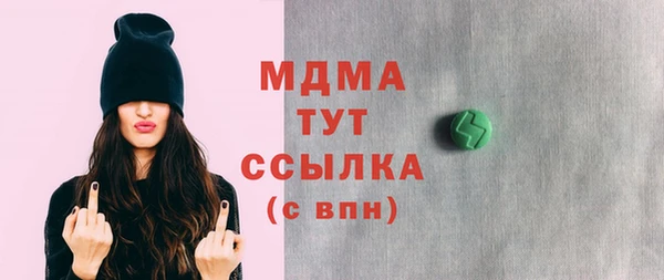 индика Алексин