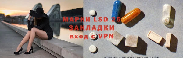 индика Алексин