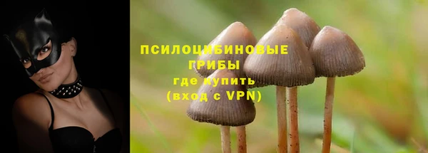 мяу мяу мука Алзамай