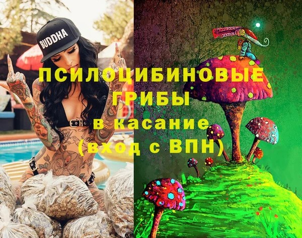 мяу мяу мука Алзамай