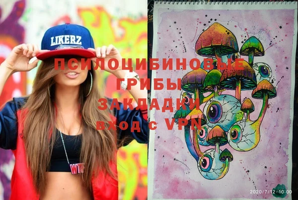 индика Алексин