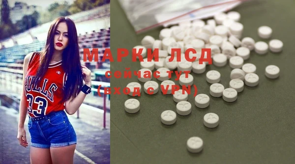 гидра Алексеевка