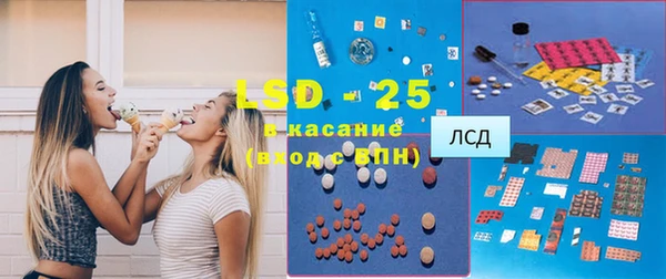 индика Алексин