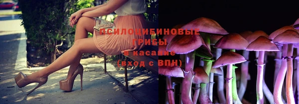 мяу мяу мука Алзамай
