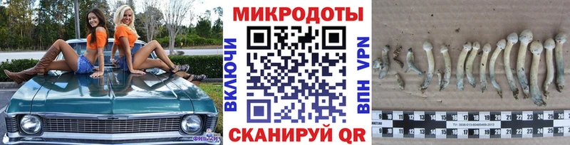 где найти   Тавда  Галлюциногенные грибы мицелий 